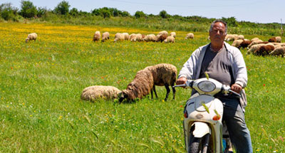 People Who Changed My Impression of Italy