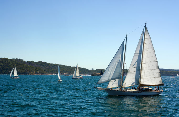Sailboats on Sydney Harbour during a clear autumn day.