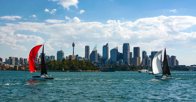 Sailboats in Sydney Harbour crossing the city skyline.