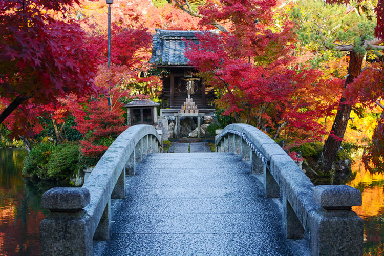Colorful fall maples around a shrine at Eikan-dou Temple.