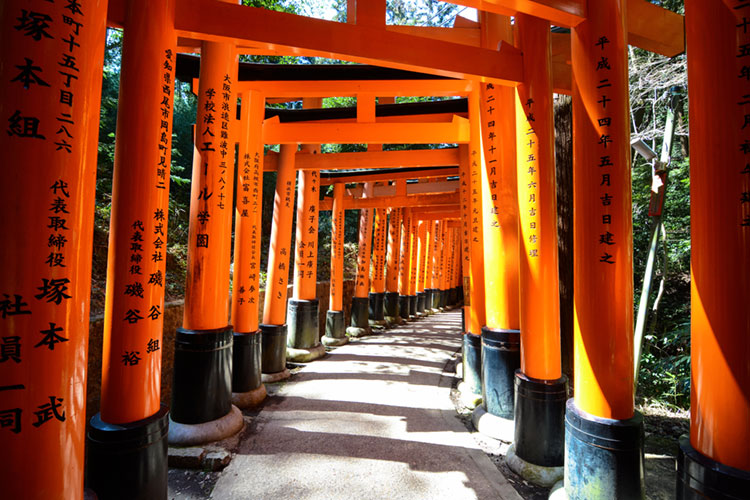 Long corridor of vermillion torii gates at Fushimi Inari-taisha in Kyoto.