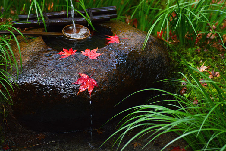 Wooden dipper and fallen maple leaves on a tsukubai.