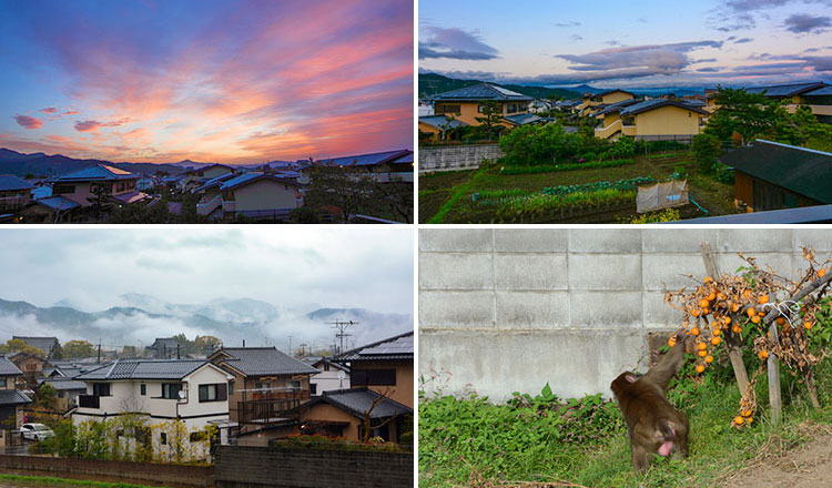 Some of the views I saw from my share house rental in Kyoto, Japan.