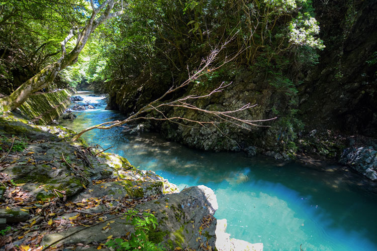 Meandering waters of the Kiyotaki River.