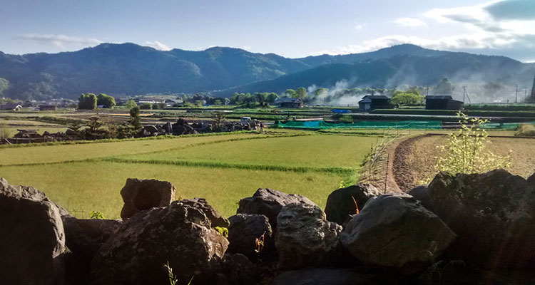 Farmland and rice fields in Kyoto.