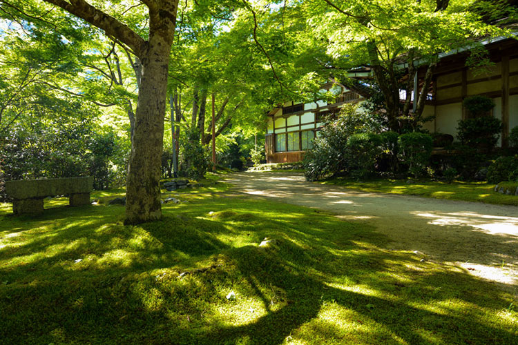 Moss-covered grounds of Saimyou-ji Temple.