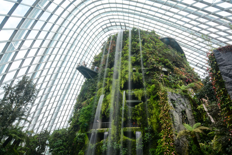 Cloud Mountain waterfall at Gardens by the Bay.