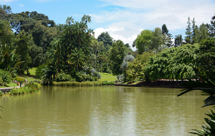 The beautiful Singapore Botanic Gardens and Symphony Lake.