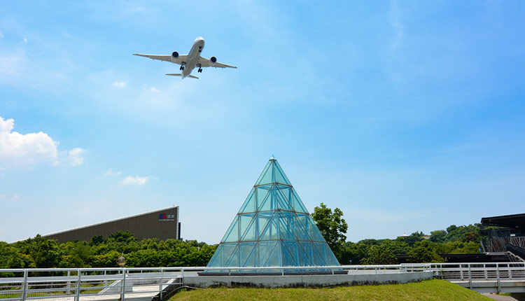 Guide to quickly finding cheap flights anywhere in the world.