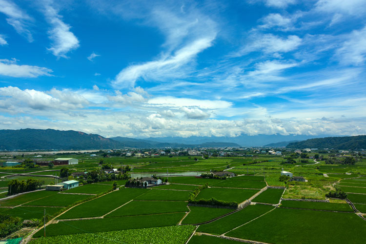 Spacious farmland for food crops in Taichung, Taiwan.