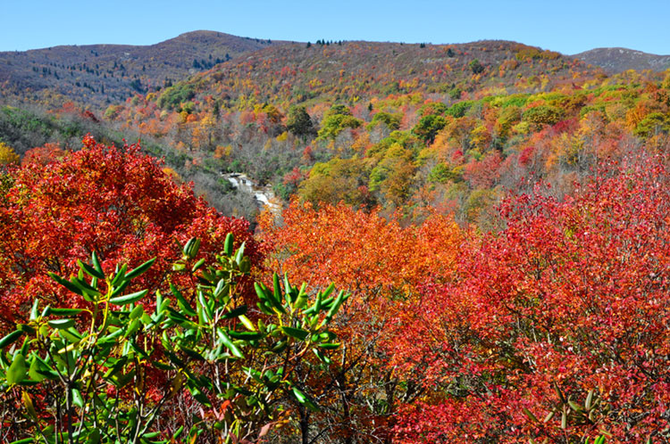 Graveyard Fields and Second Falls with bright fall colors just off the Blue Ridge Parkway.
