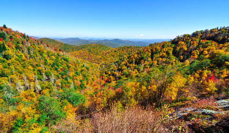 Autumn at East Fork Overlook on the Blue Ridge Parkway.