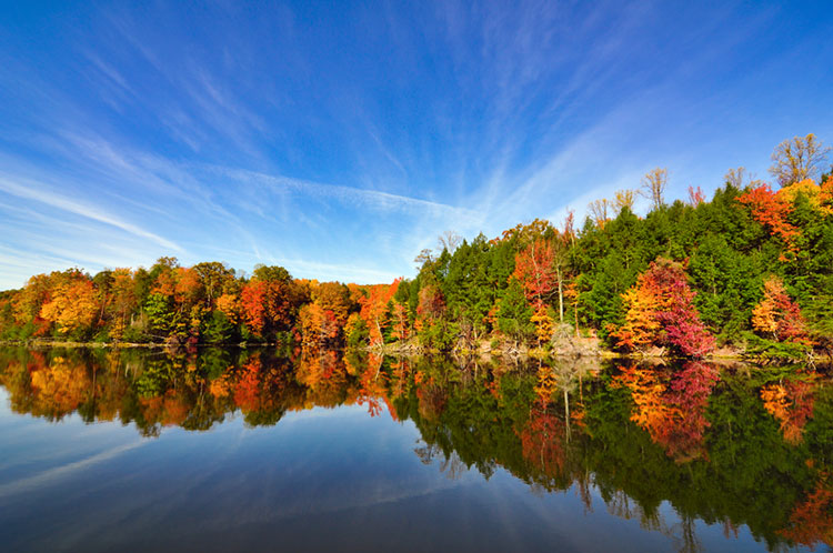Hardwood forests along the banks of the Kingsport Reservoir.