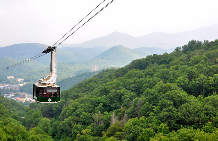 View from the Gatlinburg gondola lift.