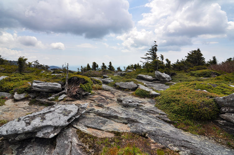 Unique high elevation landscape of Grandfather Mountain.