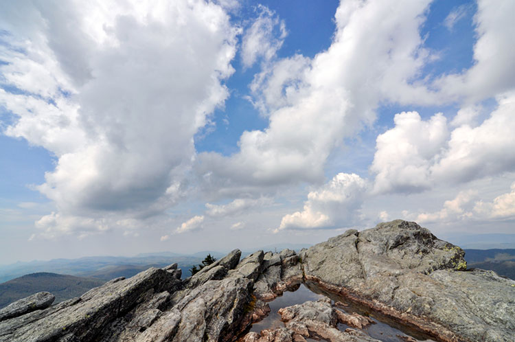 Top of Linville Peak at an elevation of 5,295 feet.